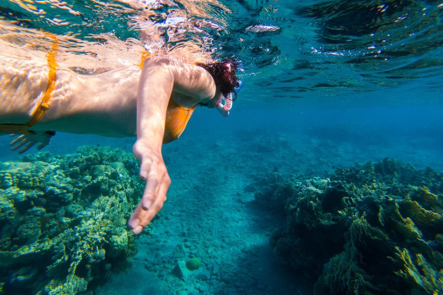 Woman snorkeling above coral reef